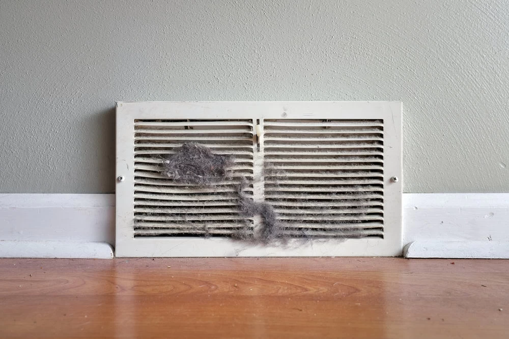 A dusty and fur-covered air vent on a wall above a wooden floor, against a light gray baseboard.
